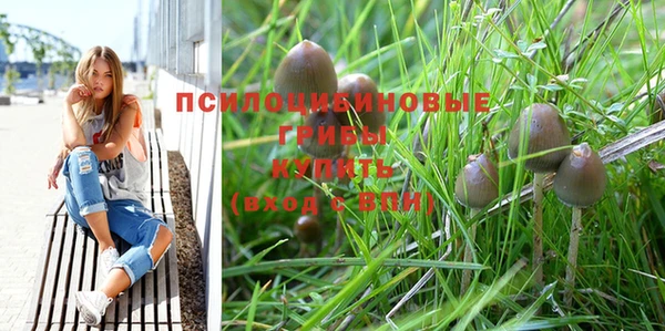 PSILOCYBIN Абинск