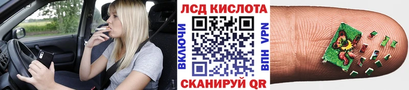 где продают   Новоалтайск  Марки N-bome 1500мкг 