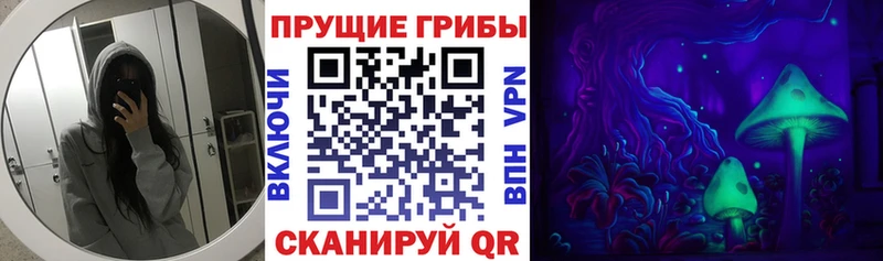 продажа наркотиков  Новоалтайск  Галлюциногенные грибы Cubensis 